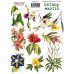 Набір наклейок, стікерів, 10 шт, Botany exotic, # 210, Фабрика Декору