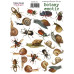 Набір наклейок, стікерів, 24 шт, Botany exotic, # 212, Фабрика Декору