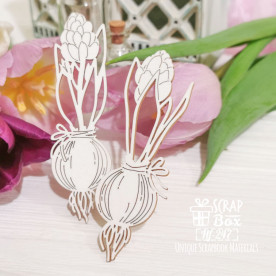 Чипборд 2 гиацинта Hf-247, Scrapbox