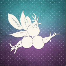 Чіпборд набір, Гілочка шипшини, 6,8x7,4 см, 1 шт, Lana Odis