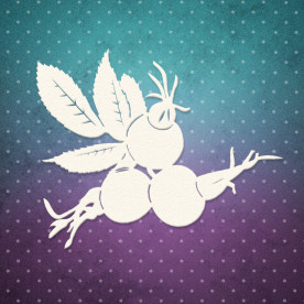 Чипборд набор, Веточка шиповника, 6,8x7,4 см, 1 шт, Lana Odis