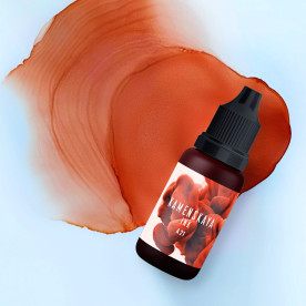 Алкогольне спиртне чорнило A-21 Теракотовий, 15 мл, Каменська