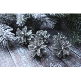 Шишка натуральна фарбована в гліттері, срібло