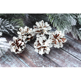 Шишка натуральна фарбована, білий, 3-5 см