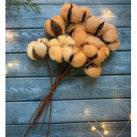 Гілка бавовни на гнучкій основі, 5 головок, персиковий