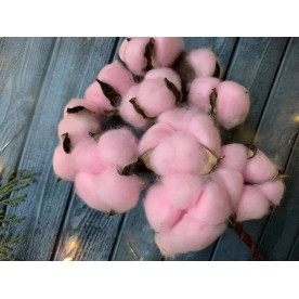 Гілка бавовни (5 головок) на гнучкій основі, рожевий