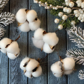 Гілка бавовни, 5 головок, білий, коротка ніжка 3-4 см