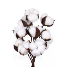 Ветка хлопка (5 головок) на гибкой основе, белый