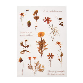 Лист наклеек Полевой гербарий, пленка, 15x11 см