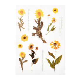 Аркуш наліпок Жовті квіти, плівка, 15х11 см