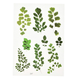 Аркуш наклейок Листочки, матеріал прозорий пластик, 15х10.5 см