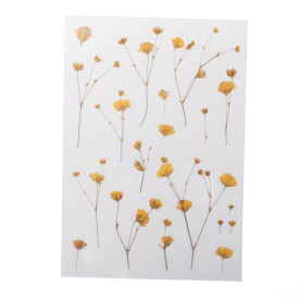 Аркуш наліпок Гіпсофіла, плівка, 10х15 см