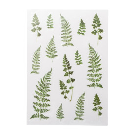 Лист наклеек Папоротник, пленка, 10х15 см