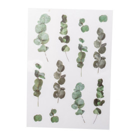 Аркуш наліпок Евкаліпт, плівка, 10х15 см