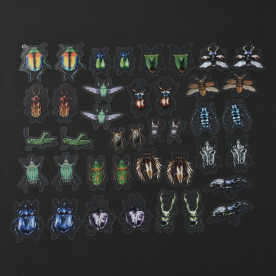 Набір наклейок із плівки, Комахи, розмір 3-6 см, 40 шт