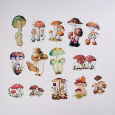 Оверлей, Лесные грибы, от 44 до 117 мм