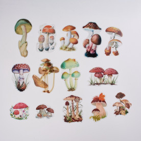 Оверлей, Лісові гриби, від 44 до 117 мм