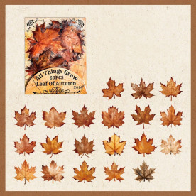 Набор наклеек, пленка, Осенние листья, водостойкие, 20 штук, 60 мм