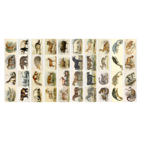 Набір смуг з картинками для декорування, Тварини, 5 шт, 200 г / м2, 5х30,5 см, Фабрика Декору