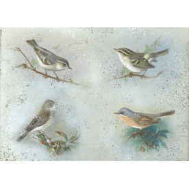 Декупажная карта #0019 21x29,7 см, Фабрика Декора