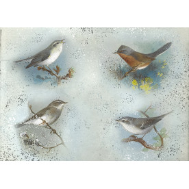 Декупажна карта #0023 21x29,7 см, Фабрика Декору