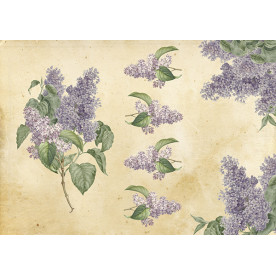 Декупажна карта #0043 21x29,7 см, Фабрика Декору