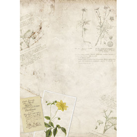 Декупажная карта #0055 21x29,7 см, Фабрика Декора