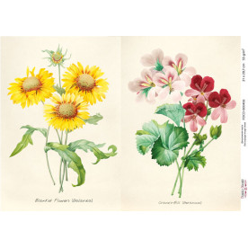 Декупажная карта #0406, 21x29,7 см, Фабрика Декора