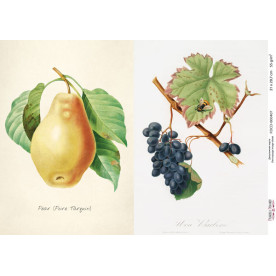 Декупажная карта #0407, 21x29,7 см, Фабрика Декора