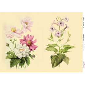 Декупажна карта # 0409, 21x29,7 см, Фабрика Декору