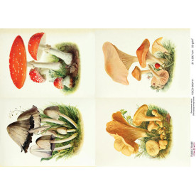 Декупажна карта # 0411, 21x29,7 см, Фабрика Декору