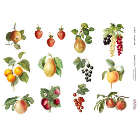 Декупажна карта # 0418, 21x29,7 см, Фабрика Декору