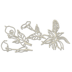 Набор чипбордов, Botany exotic, #710, бежевый, 10х15 см, Фабрика Декора