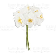 Набір квітів сакури, білі, 6шт, Фабрика Декору