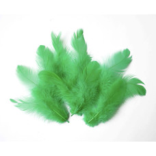 Набір пір'я міні, Смарагдові, 10 шт, від 5 см до 12 см, Фабрика Декору