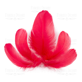 Набір пір'я максі Червоні від 6,5см до 12см, 10 шт., Фабрика Декору