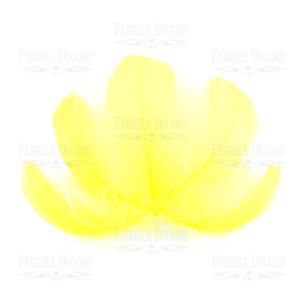 Набір пір'я максі Лимонні від 6,5см до 12см, 10 шт., Фабрика Декору