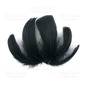 Набор перьев макси Черныеот 6,5см до 12см, 10 шт., Фабрика Декора