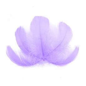 Набір пір'я максі, Ніжно-бузкові, 10 шт, від 6,5 см до 12 см, Фабрика Декору