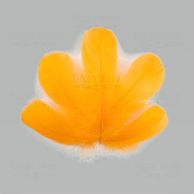 Набір пір'я максі, Помаранчеві, 10 шт, від 6,5 см до 12 см, Фабрика Декору