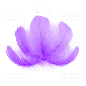 Набір пір'я максі Лілові, від 6,5см до 12см, 10 шт, Фабрика Декору