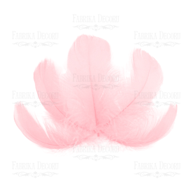 Набор перьев макси Розовые от 6,5см до 12см, 10 шт., Фабрика Декора