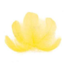 Набор перьев макси, Солнечные, 10 шт, от 6,5 см до 12 см, Фабрика Декора