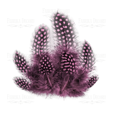 Набір пір'я цесарки, Блідо-рожеві, 10 шт, від 5 см до 8 см, Фабрика Декору