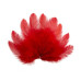 Набор перьев мини, Красные, 10 шт, от 5 см до 12 см, Фабрика Декора