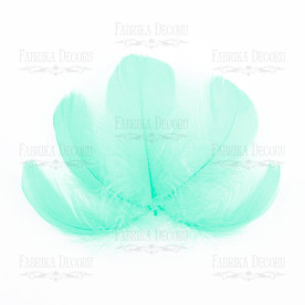 Набір пір'я міні М'ятні від 5см до 12см, 10 шт., Фабрика Декору