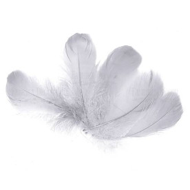 Набір пір'я максі, Сірі, 10 шт, від 6,5 см до 12 см, Фабрика Декору