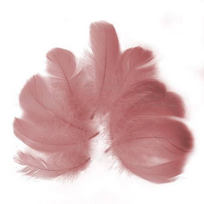 Набор перьев макси, Винтажно-розовый, 10 шт, от 6,5см до 12см, Фабрика Декора
