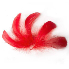 Набор перьев, Красный, 5 шт, 9 см до 14 см, Фабрика Декора