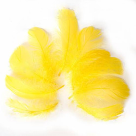 Набір пір'я, Сонячні, 5 шт, 9 см до 14 см, Фабрика Декору